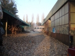 dsc05036.jpg