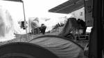 DSC01317.JPG